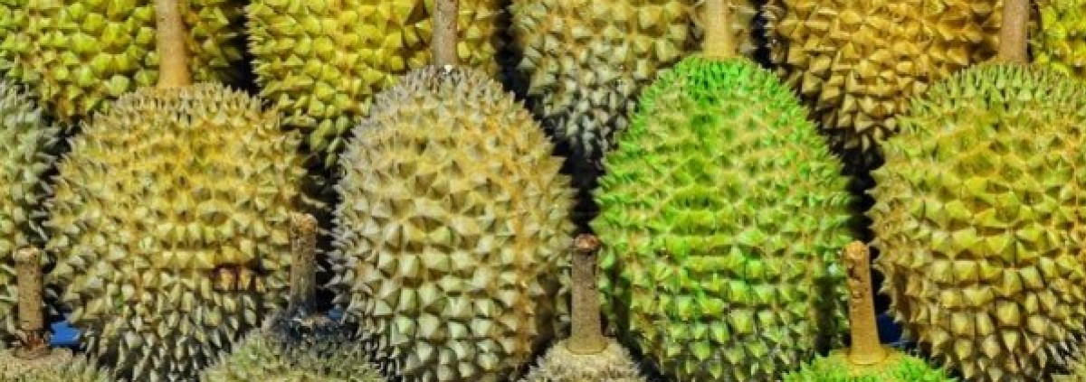 Durian